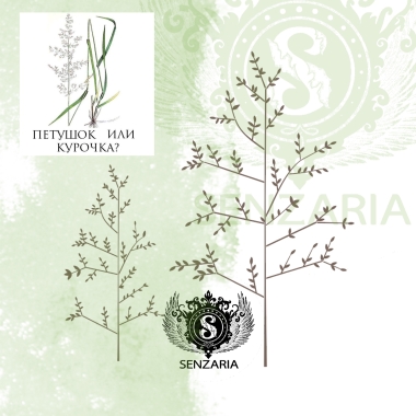 Трафарет - Полевые травы набор